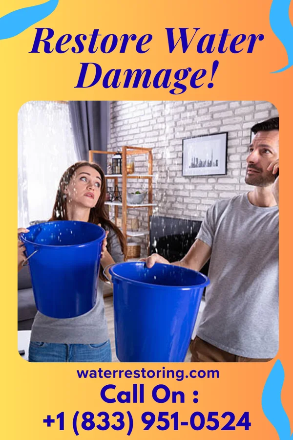 water restoration Superior Mitigation Specialists Cairo