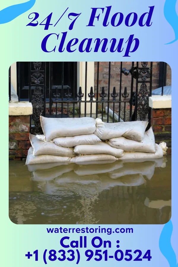 24/7 Flood Cleanup in Cairo, IL