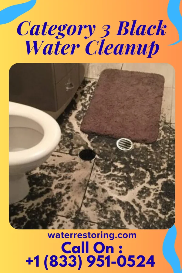 Category 3 Black Water Cleanup in Cairo, IL