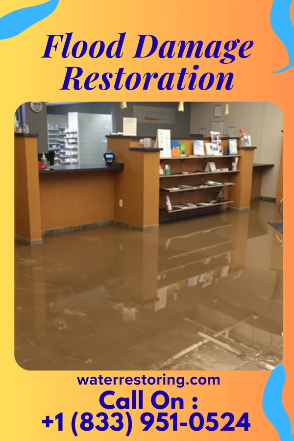 Flood Damage Restoration in Cairo, IL