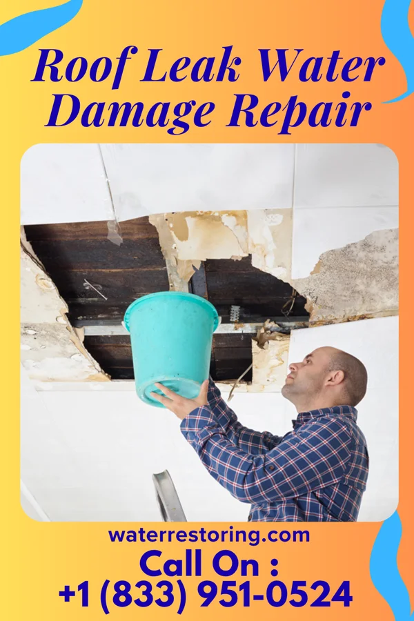 Roof Leak Water Damage Repair in Cairo, IL